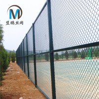 定制体育操场圈地隔离围网 边坡防护镀锌包塑勾花网