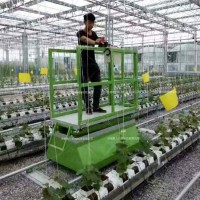 温室大棚采摘车小型轨道全自动载人高空作业升降机家用小型载猪台