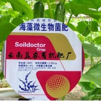 姚安微生物有机肥厂 液态有机肥 黄腐酸钾 草木灰 叶面肥