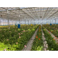 空中草莓栽培系统-智能升降基质槽-智能种植塔-无土栽培滴灌