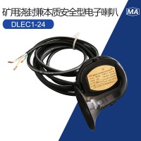 DLEC2-200矿用浇封兼本质安全型电子喇叭DC200V