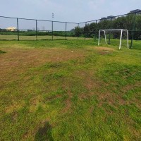 宝鸡市运动球场围网 框架隔离围网 菱形勾花网围栏
