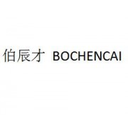 苏州伯辰才企业服务有限公司